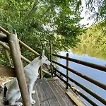 Entre Riviere & Bambous - Vue Riviere - Parc Arbore - Petfriendly Prázdninový dům