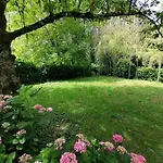 Entre Rivière&bambous / Vue Rivière / Parc Arboré Saint-Juery (Tarn)