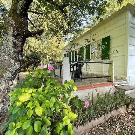 Entre Riviere & Bambous - Vue Riviere - Parc Arbore - Petfriendly Saint-Juery (Tarn)