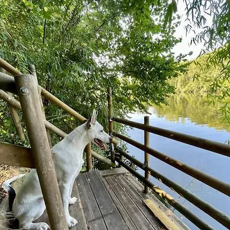 Entre Riviere & Bambous - Vue Riviere - Parc Arbore - Petfriendly Ferienhaus