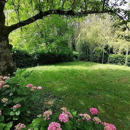 Entre Rivière&bambous / Vue Rivière / Parc Arboré Saint-Juery (Tarn)