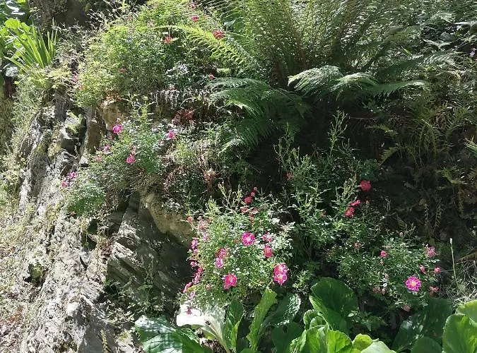 Hébergement de vacances Entre Rivière&bambous / Vue Rivière / Parc Arboré